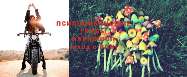 mdpv Баксан