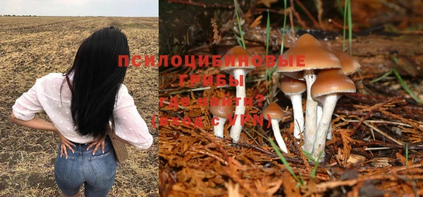 гидра Балабаново