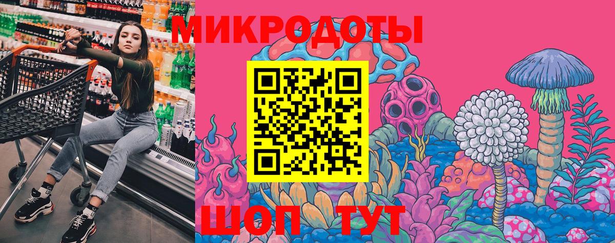 Галлюциногенные грибы ЛСД  Карачаевск  Псилоцибиновые грибы Psilocybe 