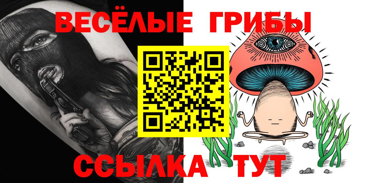 Карачаевск  Галлюциногенные грибы Psilocybe  Вход с VPN 