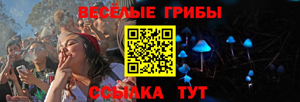 Галлюциногенные грибы мухоморы Карачаевск